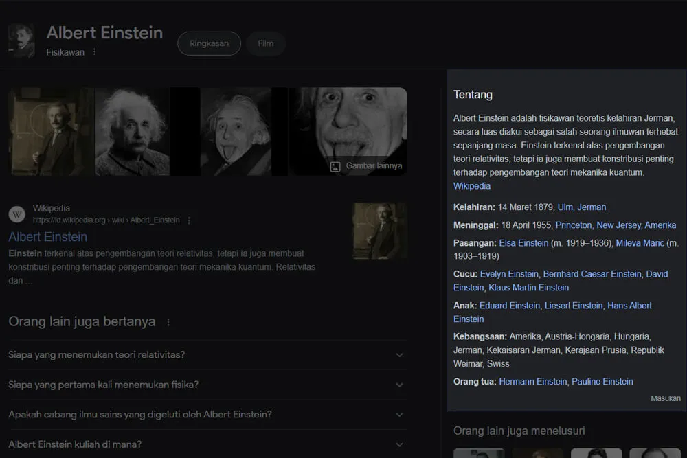 Knowledge panel di SERP