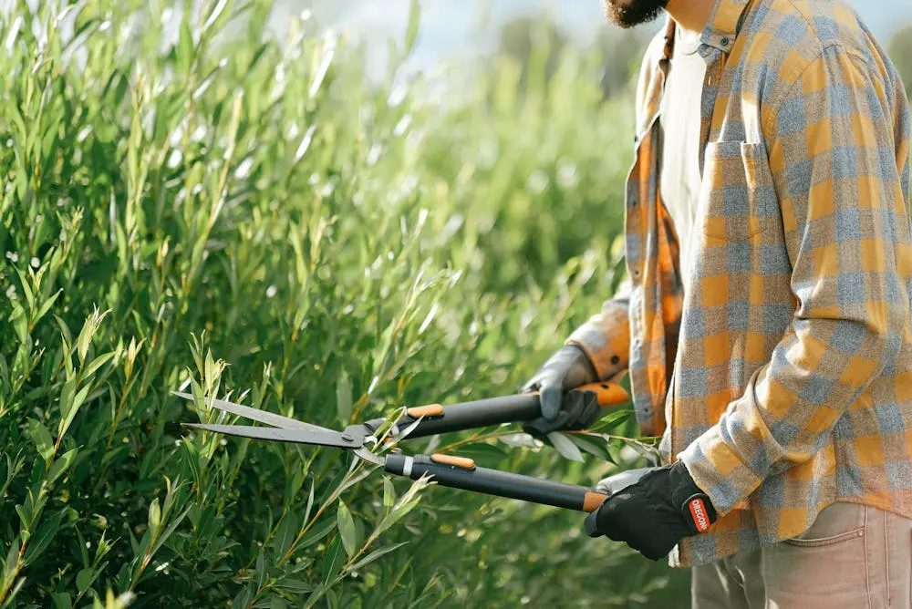 Content Pruning – Pangkas Konten untuk SEO yang Lebih Maksimal