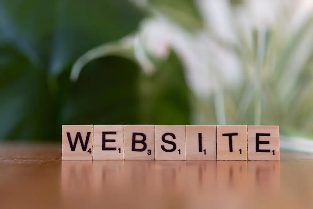 Apa Perbedaan Domain dan Hosting? Hal Dasar yang Wajib Kamu Tahu
